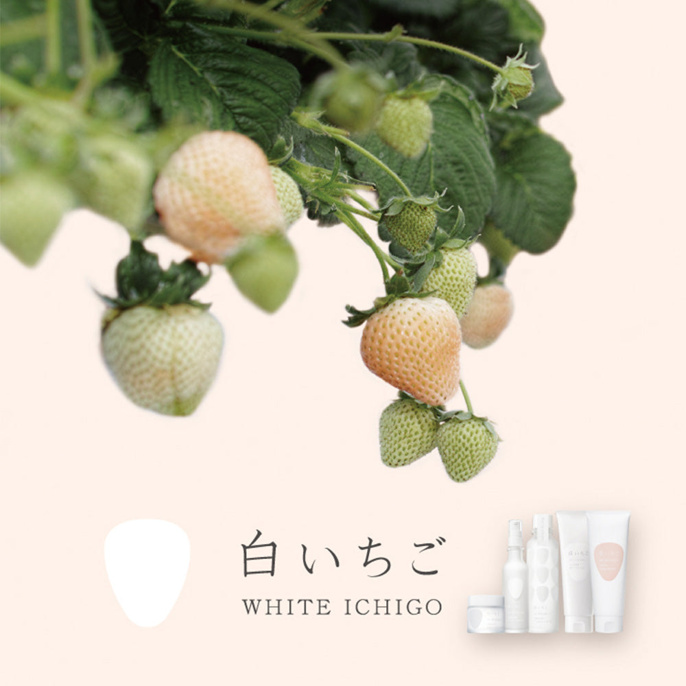 公式】オーガニック テック-ウォッシュ〈洗顔料〉120g / WHITE ICHIGO